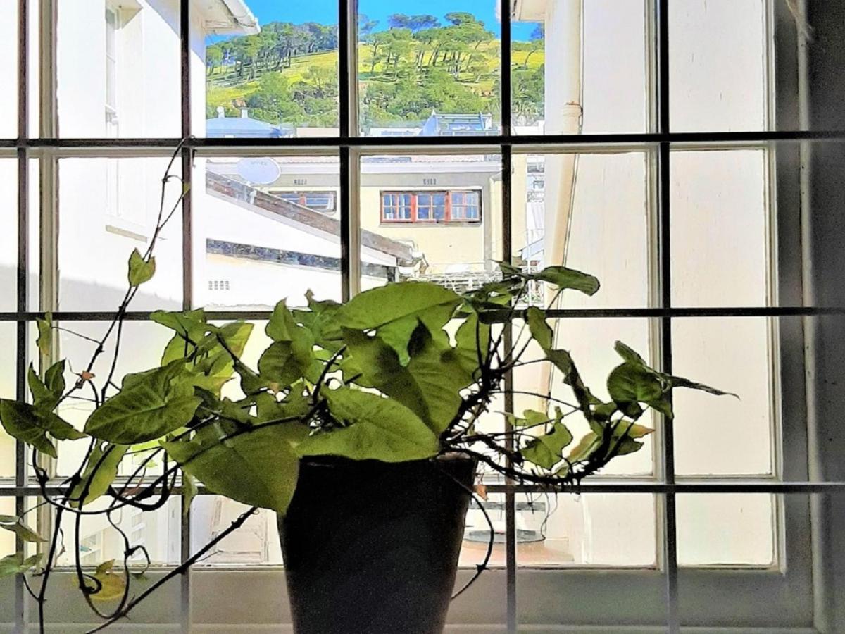 The Greenhouse Guesthouse 开普敦 外观 照片