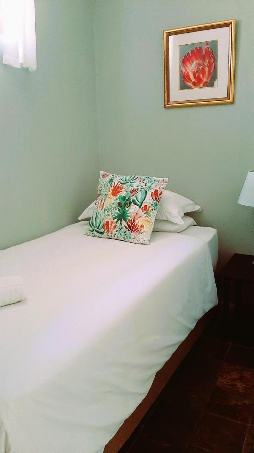 The Greenhouse Guesthouse 开普敦 外观 照片